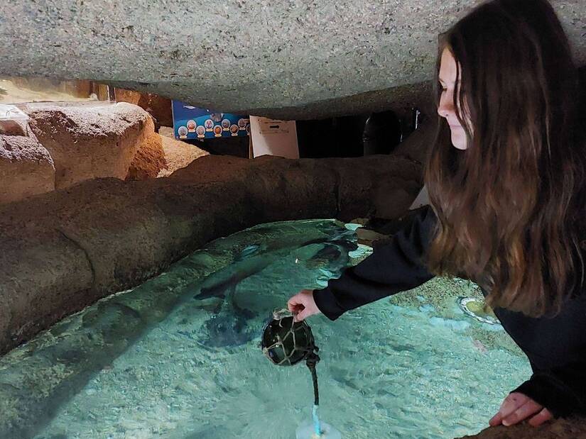 En Bac Pro Cultures Marines, Loma vit un stage d’exception !