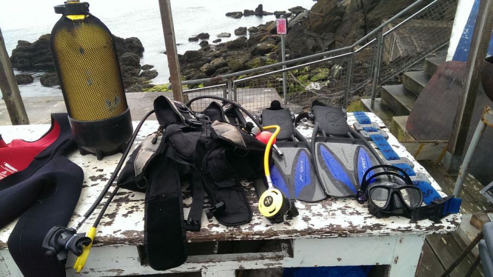 Les élèves de 1ère bac pro option cultures marines en stage plongée