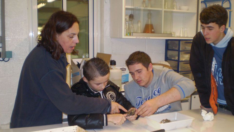 Les Mini-stages en 2014…