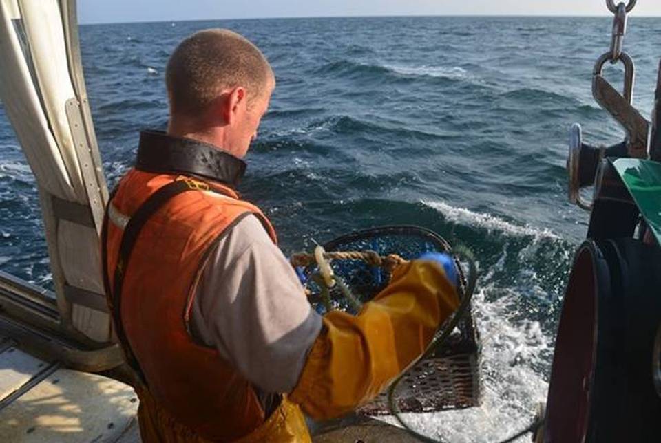 Le matelot à la pêche